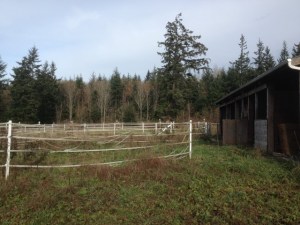 2014-11-19 001 010 (640x480)