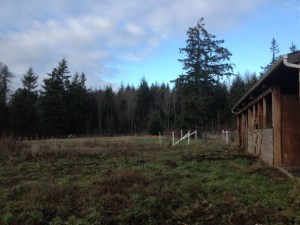 2014-12-13 001 003 (640x480)