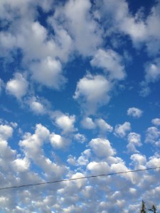 2015-01-07 001 004 (480x640)