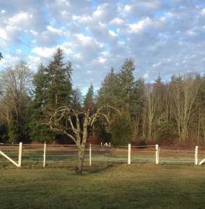 2015-01-07 001 005 (628x640)