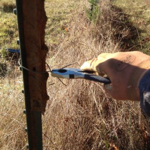 2015-01-07 001 026 (640x640)