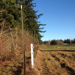 2015-01-07 001 027 (640x640)