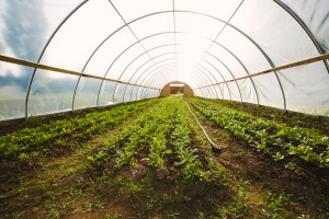 00005_Tracie_Howe_Photography