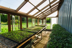 00028_Tracie_Howe_Photography