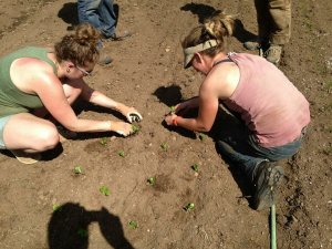 11205506_852387168159893_6385832238381771822_n