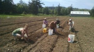 11246030_852387214826555_9169963569220788146_n