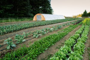 00002_Tracie_Howe_Photography