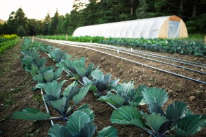 00006_Tracie_Howe_Photography